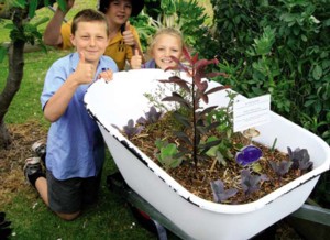 10 top tips for the garden